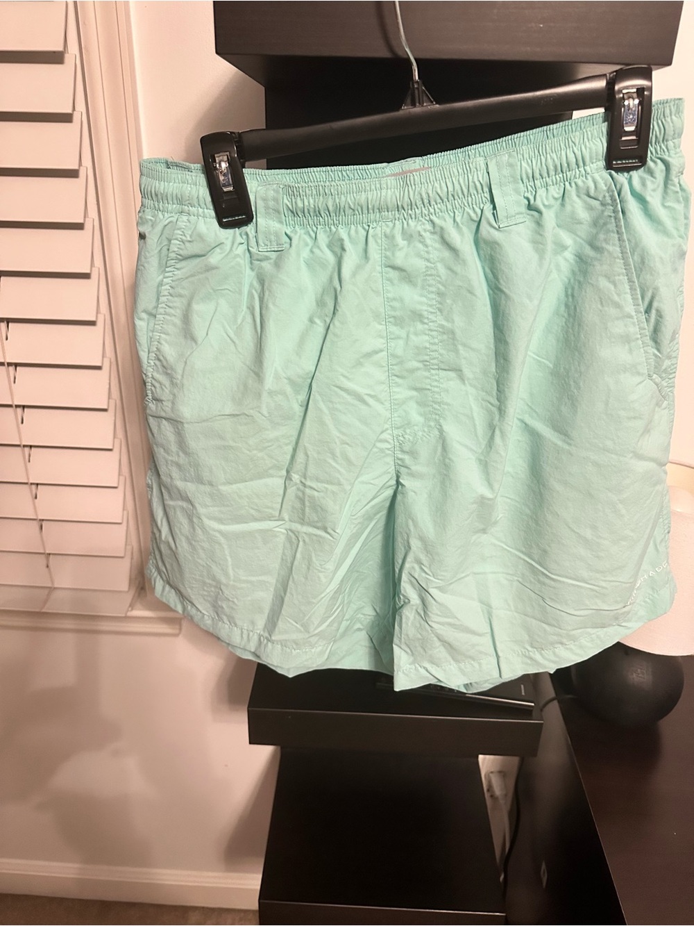 Men's Mint Green Swim Trunks with Elastic Waist